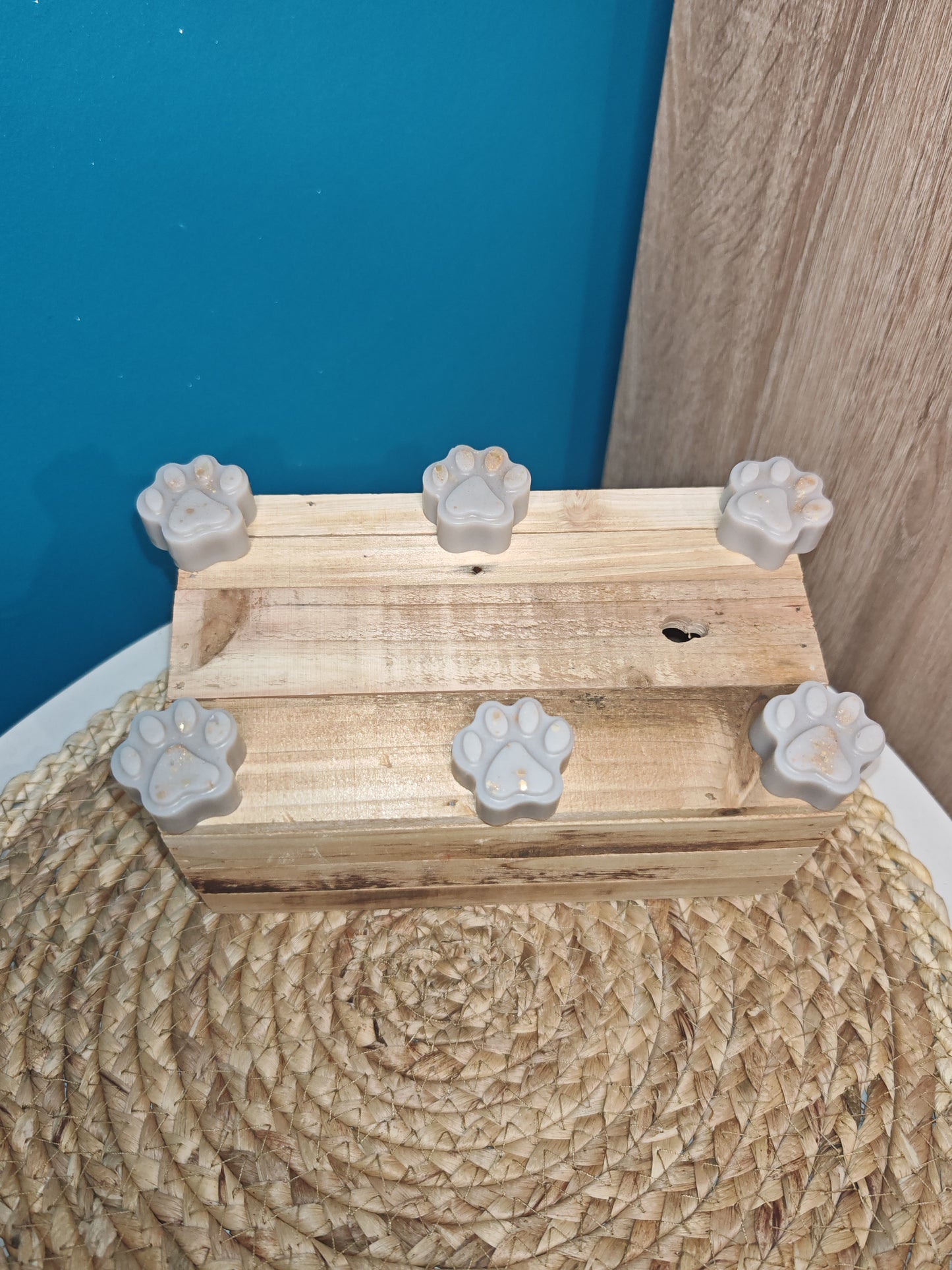 Fondant patte de chien "cola"